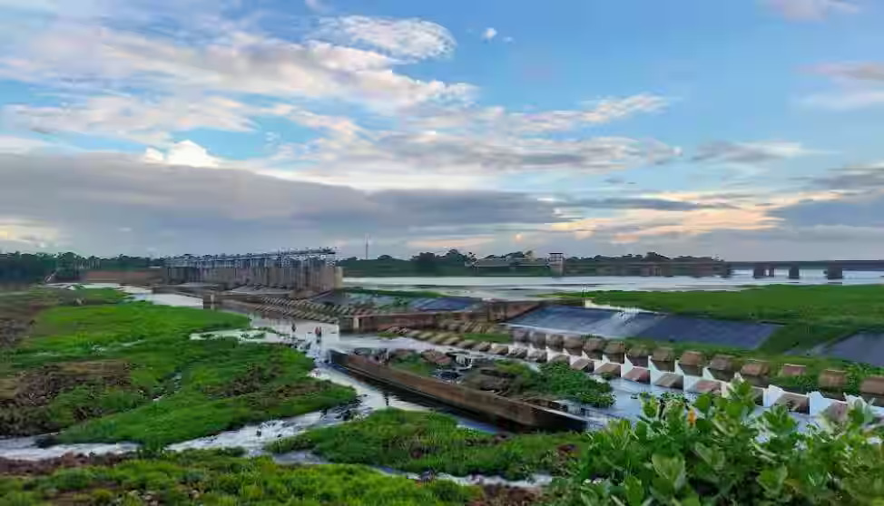 Bulbulchoti Swamp Land